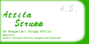 attila strupp business card